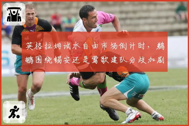 英格拉姆试水自由市场倒计时，鹈鹕围绕锡安还是莺歌建队分歧加剧？